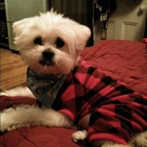 Meet your Posher, Sue